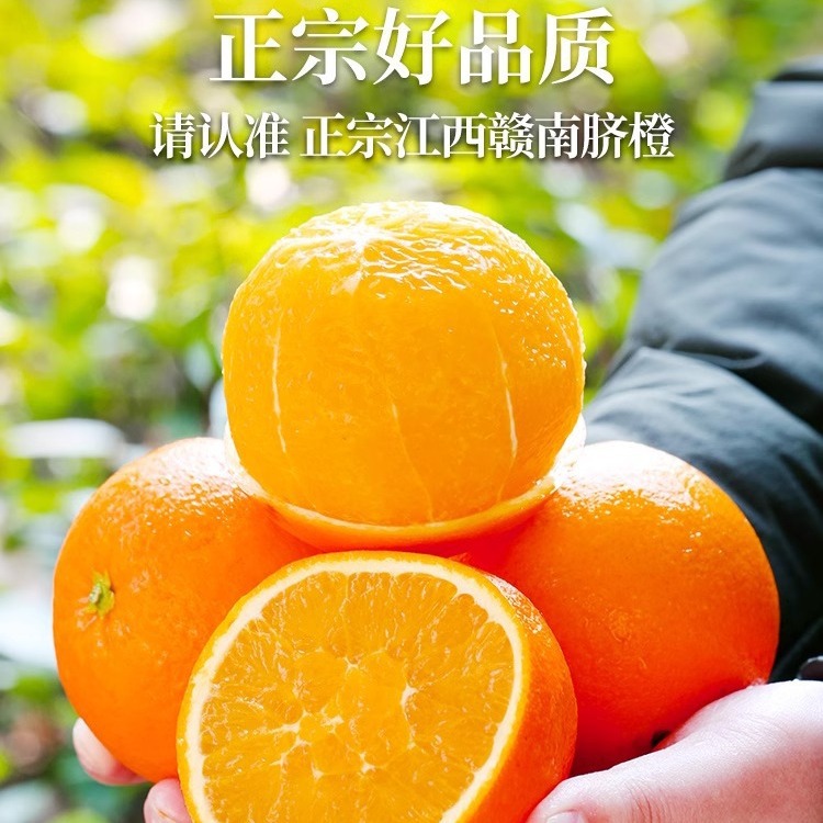Jiangxi Gannan Navel Orange Fresh Seasonal Fruit 5kg Oranges Authentic Ganzhou Jelly Hand-Peeled Rock Sugar Sweet Orange Free Shipping