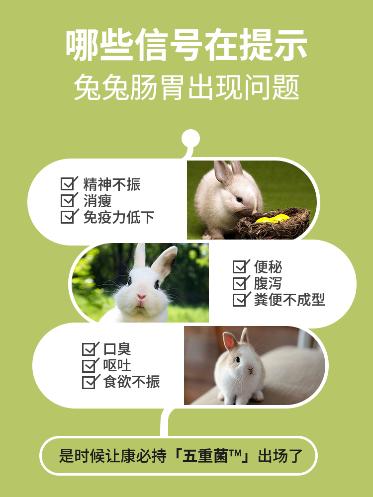 Kangbichi Rabbit Probiotics Regulate the Gastrointestinal Tract, Guinea Pigs and Chinchillas Have Soft Stools, Loose Stools, Flatulence and Constipation to Help You Strengthen Your Health