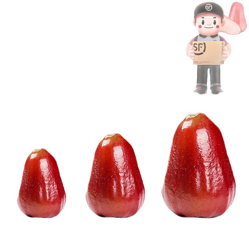 Sf Express 2.5kg Hainan Black Diamond Lotus Mist Fruit Gift Box Lotus Mist Fruit Fresh Large Fruit Lotus Mist Whole Box Free Shipping