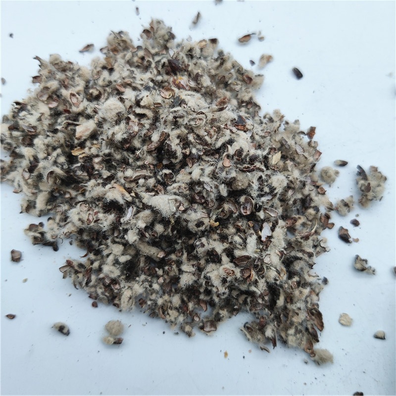 Medium long velvet cottonseed shell Pleurotus ostreatus edible fungus cultivation cottonseed shell for animal feed oil field plugging cottonseed shell