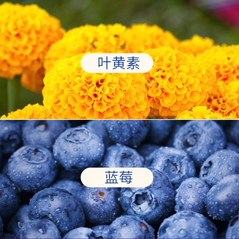 Blueberry Lutein Ester Vitamin C Drink Puree Original Liquid Juice for Students and Kidsren to Learn to Stay up Late with Eyes for Adults, Middle-Aged and Elderly People