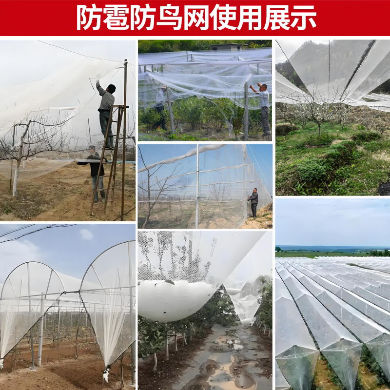 Anti-Hail Net, Anti-Bird Net, Apple Orchard, Vineyard Anti-Bird Net, New Material, Anti-Oxidation Gauze Net, Farm Gardening Anti-Bird Net