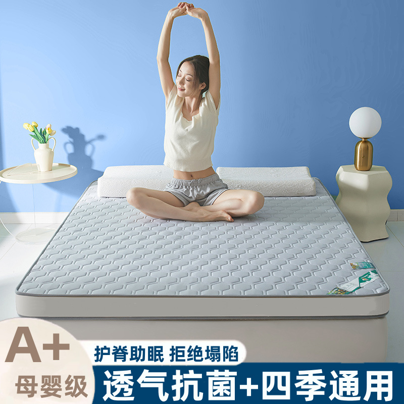 Thickened Latex Mattress for Home Summer Foldable Cool Silk Student Dormitory Single and Double Mattress Floor Mat