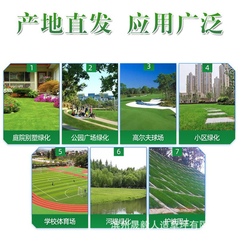 Simulated Lawn Plastic Carpet Fake Turf Kindergarten Football Field Runway Fence Outdoor Mat Artificial Artificial Turf
