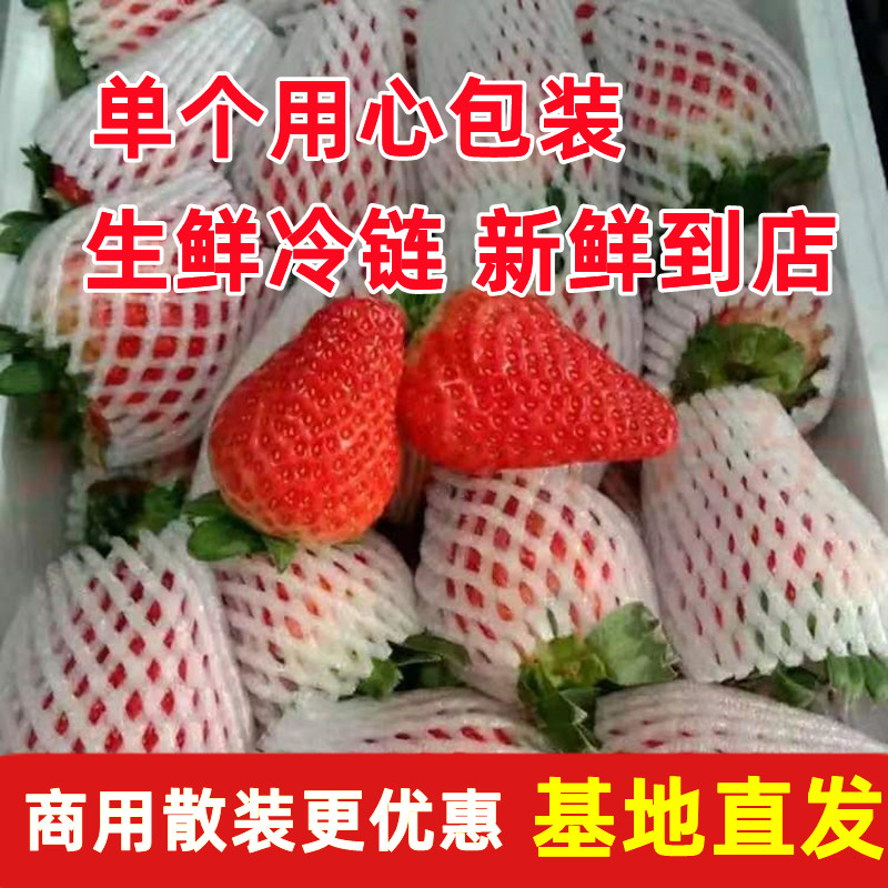 Yunnan Strawberry Fresh Baked Milk Tea Cake Commercial Seasonal Fruit for Pregnant Women 2.5kg Cream Milk Strawberry Free Shipping