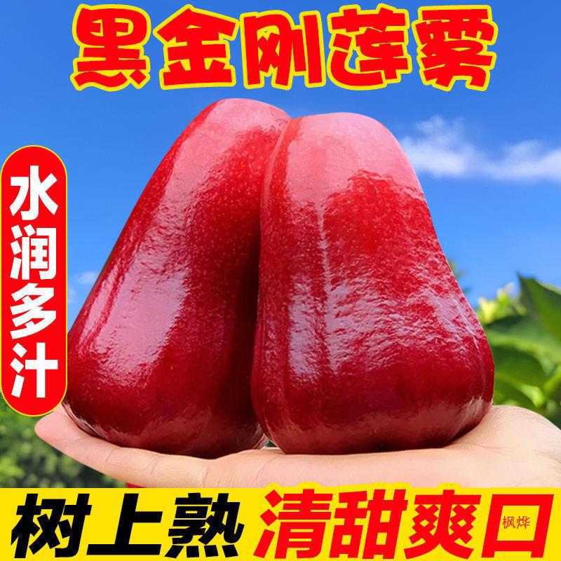 Hainan Black Diamond Lotus Mist Fresh Fruit Whole Box Lotus Mist Tropical Mist Seasonal Free Shipping Fairy Fruit for Pregnant Women