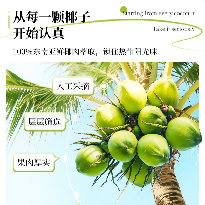 Hainan Nanguo Pure Coconut Powder Hainan Specialty Luzhou-flavor Instant Breakfast Meal Substitute Multi-specification Raw Material for Milk Tea Shop