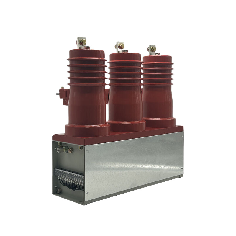 Ckg4-160-250-400-630A/12Kv Extrusion Capacitor Permanent Magnet Keeps High Pressure Vacuum Contactor