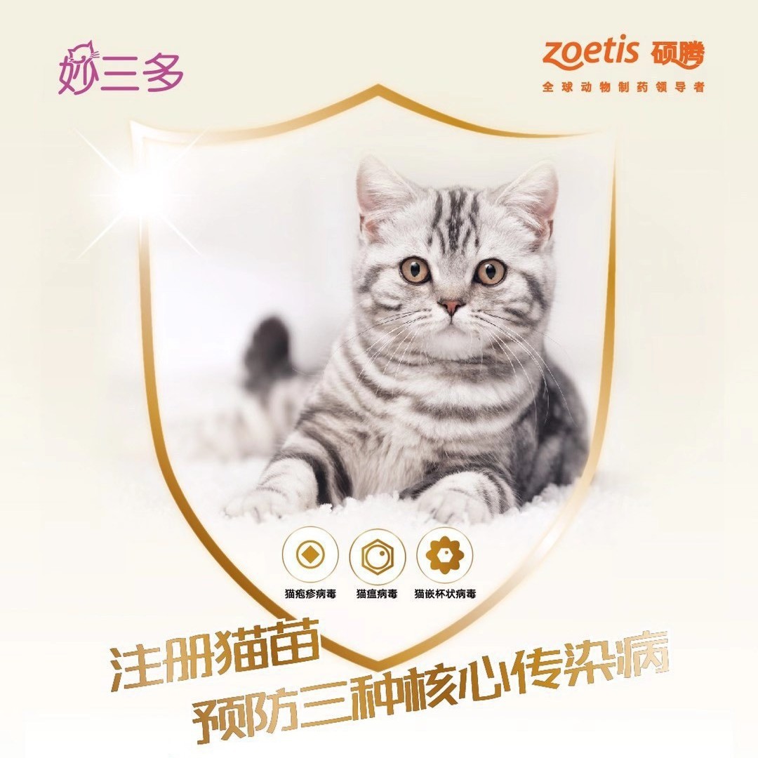 Pfizer Vaccine Domestically Produced Miaosan Duo Zoetis Dog Rabies Vaccine Weijia Five Cat Pet Vaccine Weijia Eight Dog Vaccine
