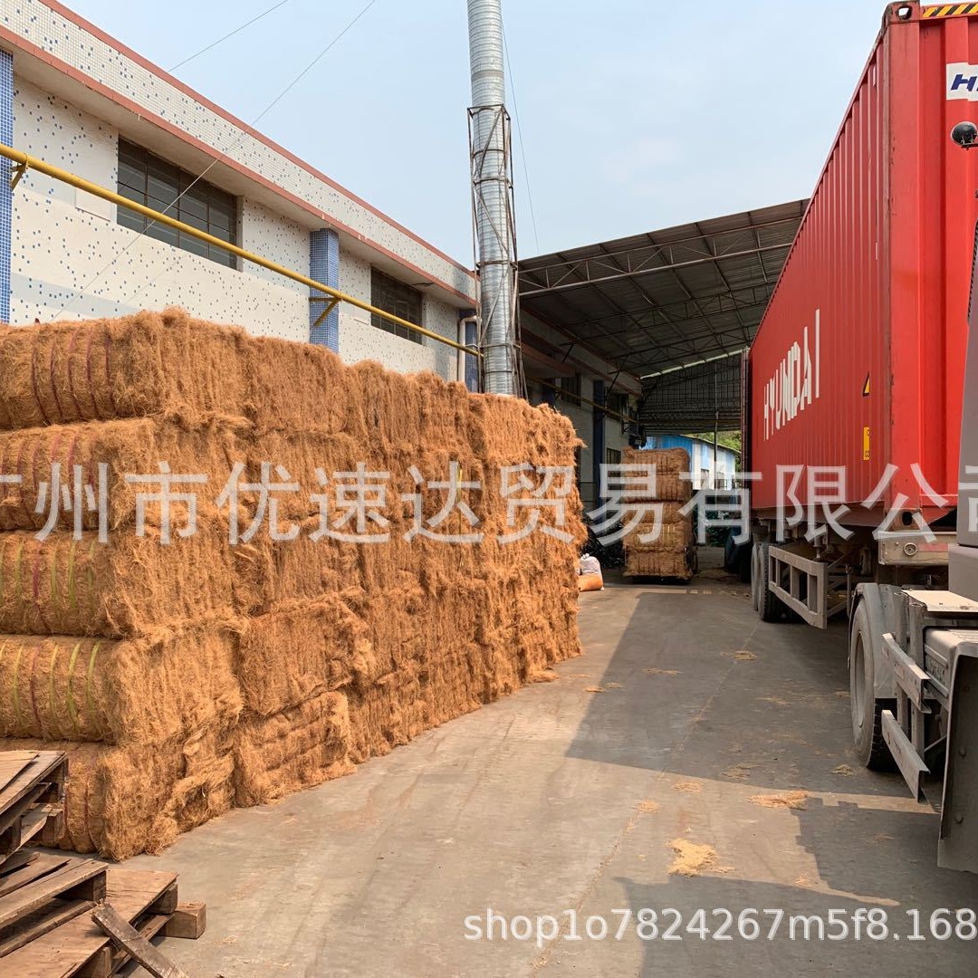 coconut palm silk filler coconut coconut tendon staple fiber brown silk plant fiber green covering hemp rope garden green plant