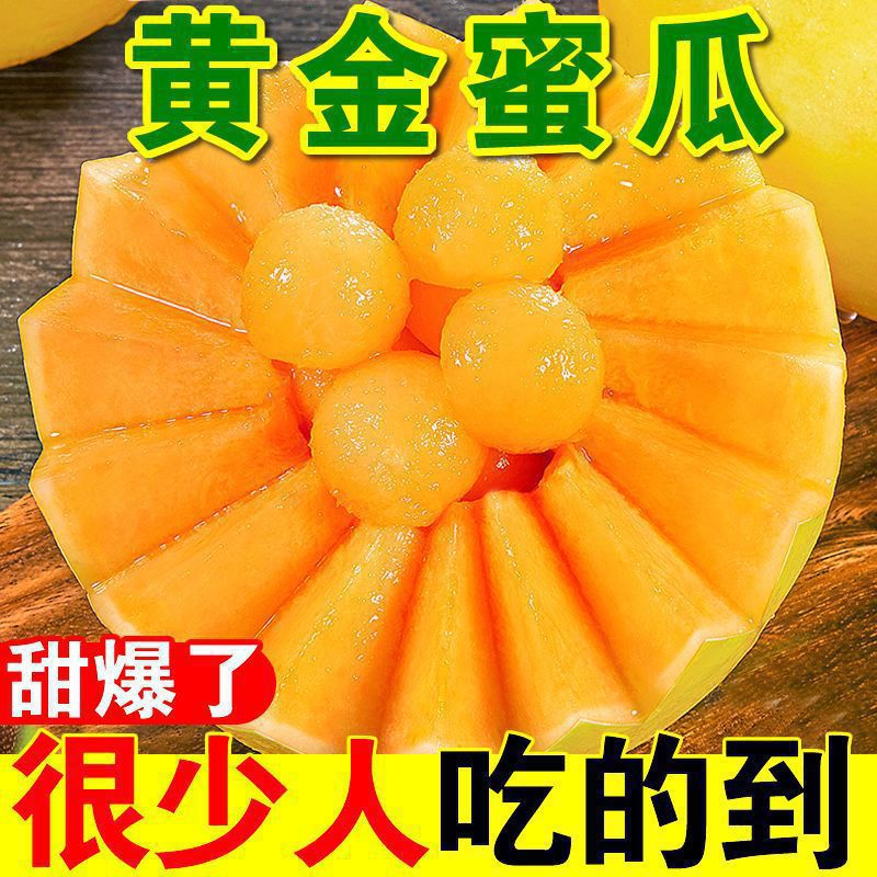 Sweet and Juicy Gansu Minqin Honeydew Desert Yellow River Honey Fruit Fresh Cantaloupe Seasonal Fragrant Melon