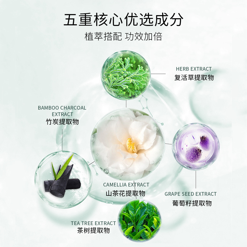 Bonwei Camellia Soft Film Powder Wrinkle-Resistant Tight Hyhydrating Soft Film Resurrection Grass Soothing Repair Soft Film Beauty Salon Soft Film