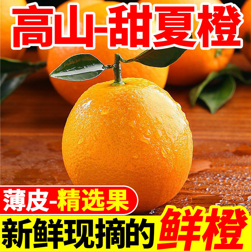 Alpine Summer Oranges, Freshly Picked Fresh Oranges, Seasonal Hand-Peeled Sweet Oranges, Thin-Skinned Navel Oranges, a Whole Box with Free Shipping