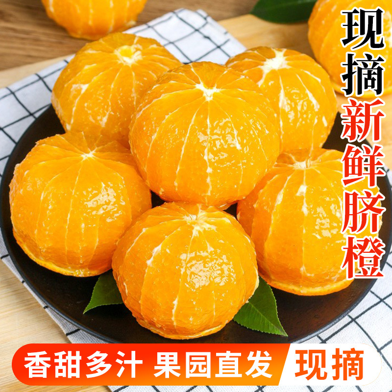 Authentic Zigui Navel Oranges, High Mountain Oranges, Fresh Picked and Shipped Directly from the Place of Origin, Seasonal Fruits Wholesale