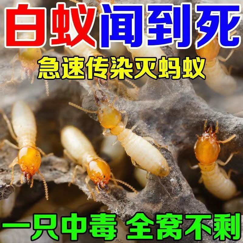 [Powerful] Ant Medicine for Complete Nest Extermination, Household Non-Toxic Indoor Kitchen Outdoor Vegetable Patch Ant Extermination Powder