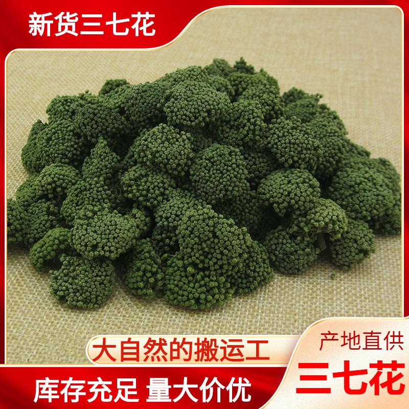 Сезонные новые товары цветы панакса нотогинсенга оптовая продажа