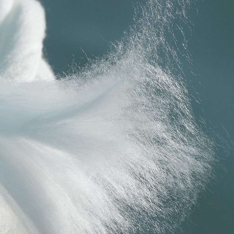 Exported to Japan Class a Pure Cotton Quilt Core Winter Quilt Spring & Fall Quilt Air-Conditioned Quilt Thickeneded Warm Winter Quilt