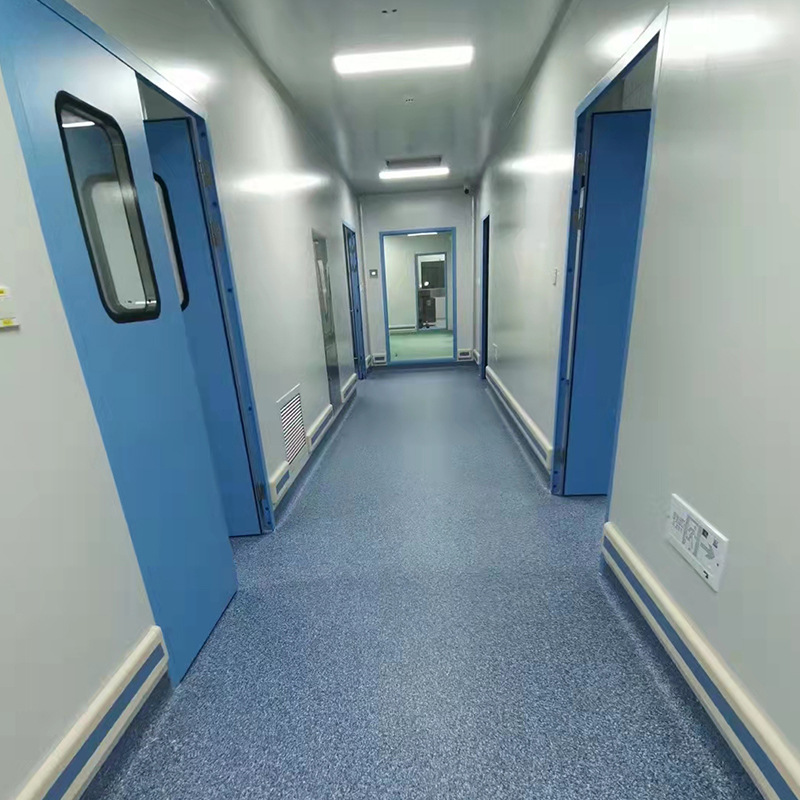 Undertake Dust-Free Workshop Purification Project Design Century Sterile Food Clean Room Clean Workshop Project