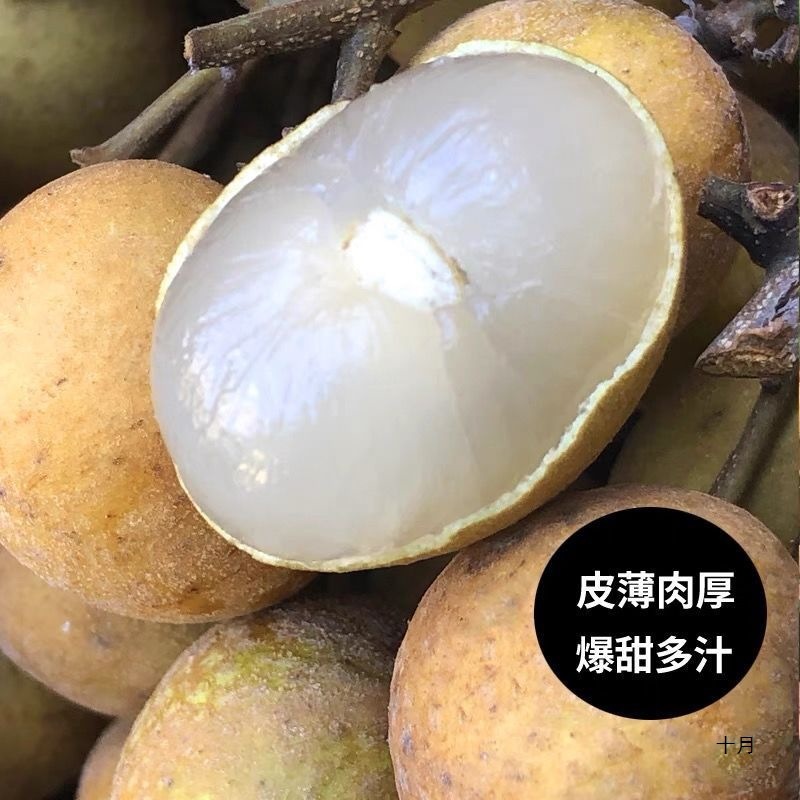 Sf Express Air-Shipped Fresh Longan from Guangdong Gaozhou Shi Xian Chu Liang Longan Super Sweet Whole Box Fruit Factory