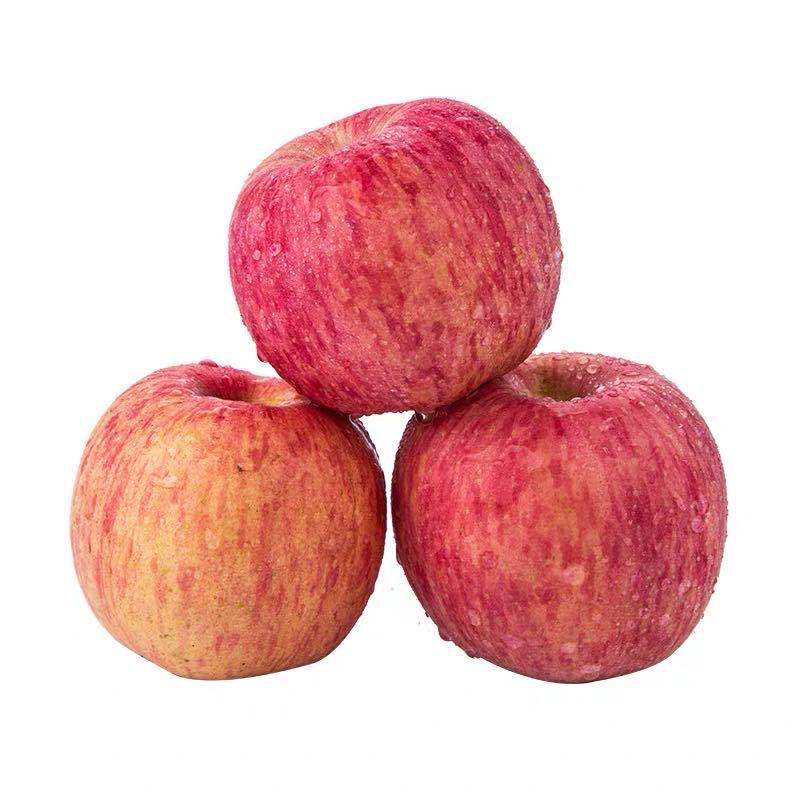 Shandong Yantai Red Fuji Apple Fresh Fruit Fresh Seasonal Crisp Sweet Whole Box Wholesale [Year-Round Supply]