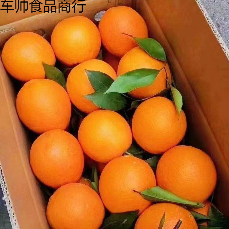 Свежие апельсины с пупком, свежие сладкие апельсины, апельсины с сахаром, не Айван, желейные апельсины, апельсины Ганнана, целая коробка оптовой продажи
