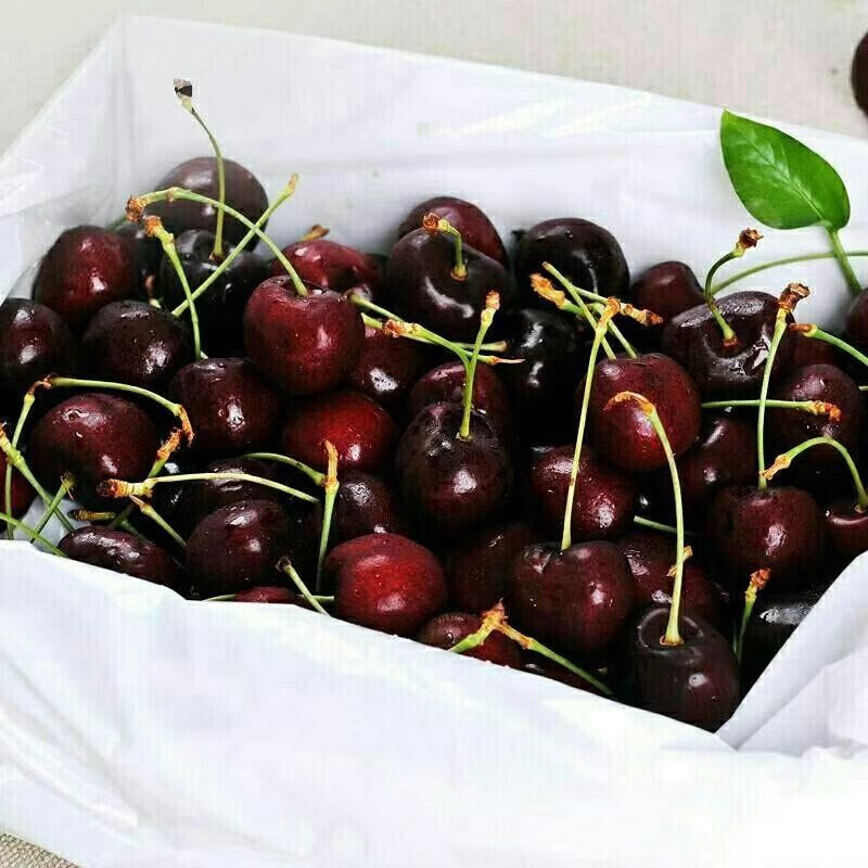 Guangzhou Jiangnan Wholesale Shunfeng Straight Hair Dalian Meizao Cherry Cherry 3-5J Big Fruit Seasonal Fresh Fruit