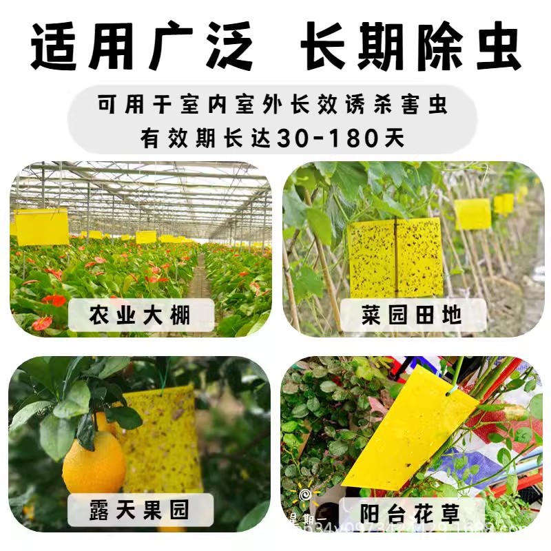 Factory direct double-sided sticky insect board trap board yellow board blue board coated factory wholesale greenhouse tea garden orchard greenhouse