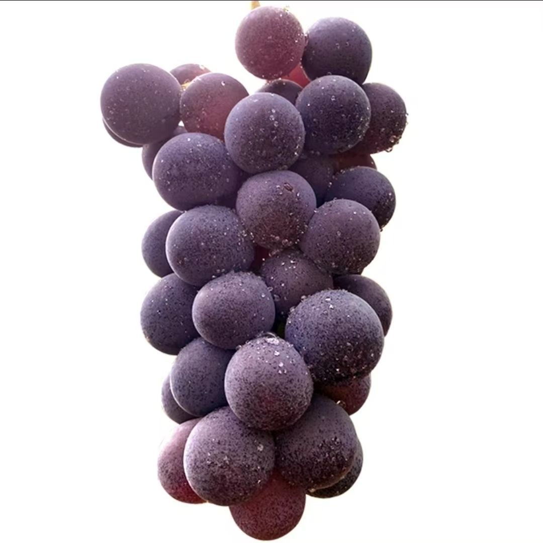 Pujiang Giant Peak Grapes Fresh Seasonal Fruit for Pregnant Women Whole Bunch Sweet Farm Authentic 2.5kg Per Box Homegrown