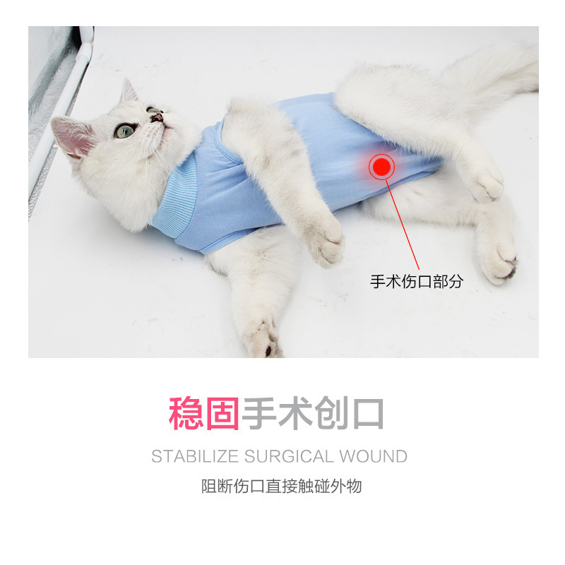 Cross-Border Cat Clothes, Female Cat Sterilization Clothes, Anti-Licking Breathable Elastic Weaning Postoperative Clothes, Pet Sterilization Clothes, Cat Rehabilitation Clothes