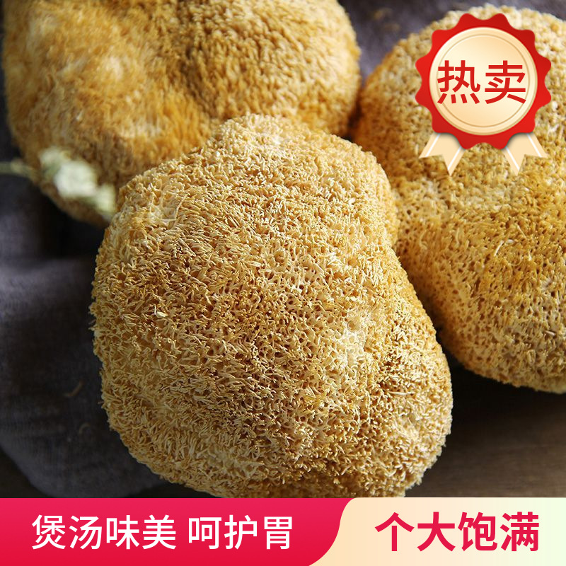 Northeastern Changbai Mountain Specialty Dried Hericium Mushrooms 500g Rootless Bulk Wholesale Food New Stock Fungus Black Fungus Commercial Use