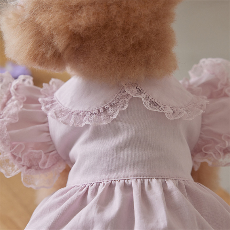 Pet Clothes for Dogs and Cats, Autumn and Winter Lace Flying Sleeves, Lady Dress Manufacturer, Small Teddy Bears