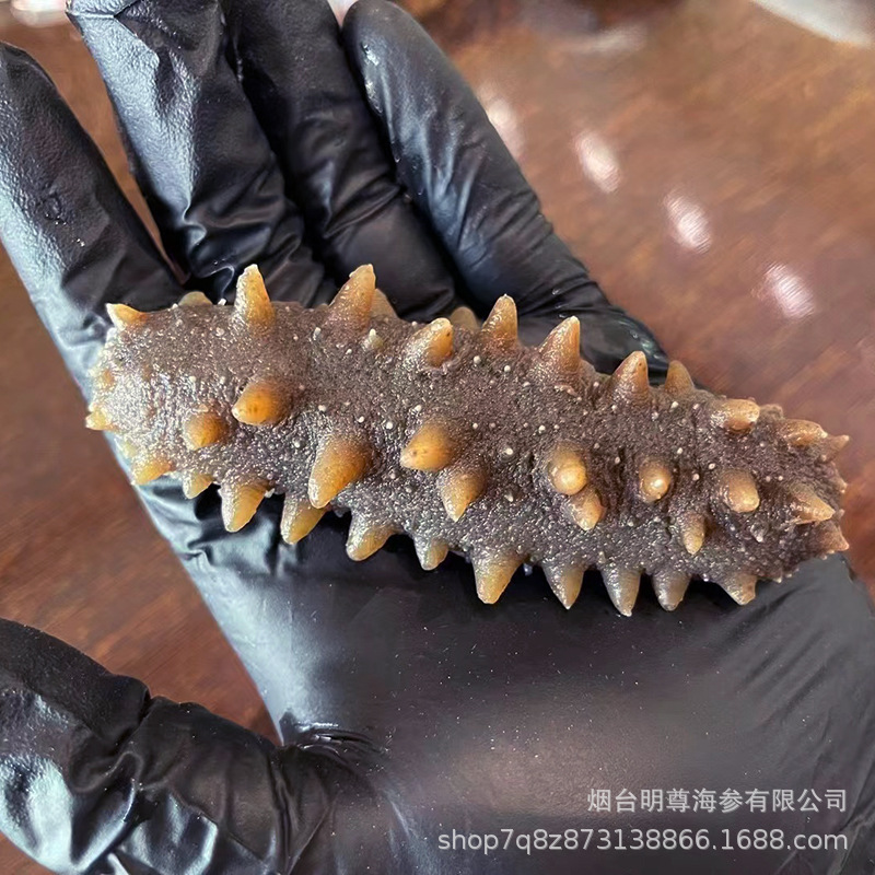 Mingzun 9A Grade Dalian Ready-To-Eat Sea Cucumber Dalian Fresh Sea Cucumber Factory Direct Wholesale Ready-To-Eat Sea Cucumber 500g