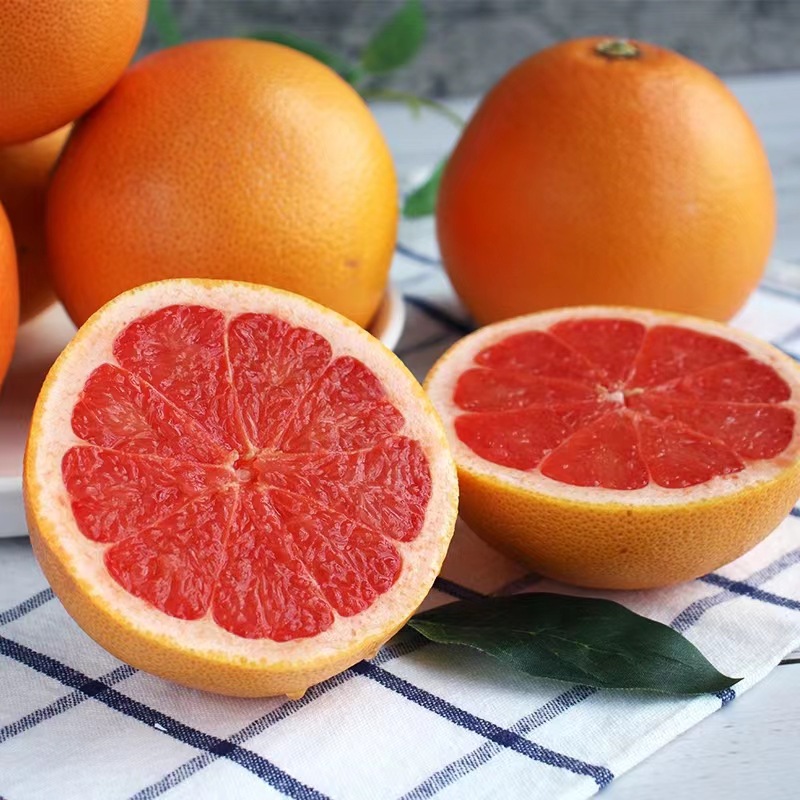 South African Grapefruit Red Heart Grapefruit Fresh Fruit Sweet and Sour Red Fruit Grapefruit One Piece Generation