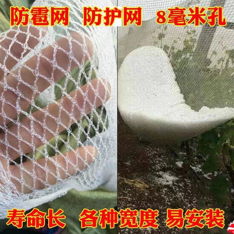 Factory Direct Sales Orchard Anti-Hail Net 0.8cm Apple Grape Pear Tree Fish Pond Greenhouse Anti-Hail Net New Material