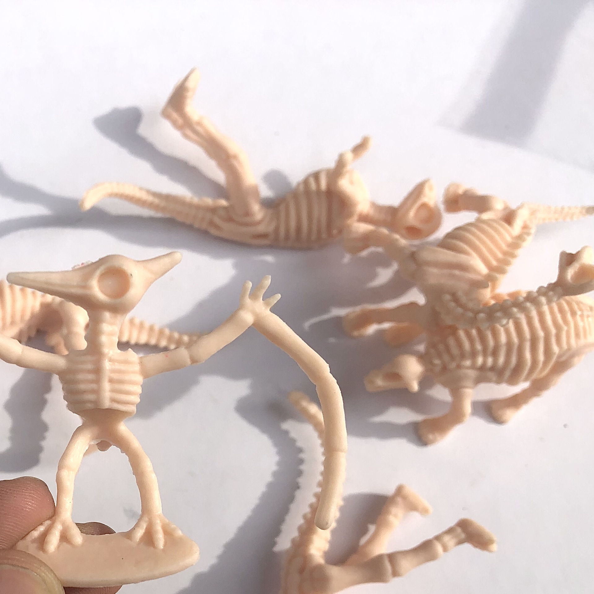 Dinosaur skeleton model archaeological excavation dinosaur fossil simulation dinosaur keel Tyrannosaurus Stegosaurus Triceratops wholesale