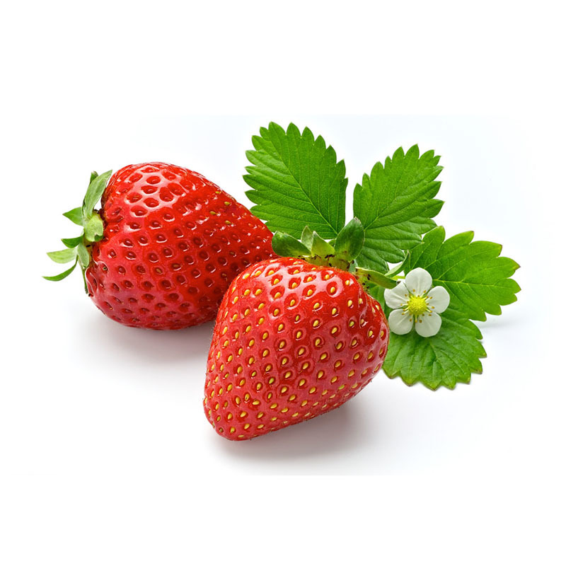 Zhangji Sui Zhu Strawberry Seedlings Miaoxiang No. 7 Strawberry Seedling Base Hongyan Cream Strawberry Seedlings