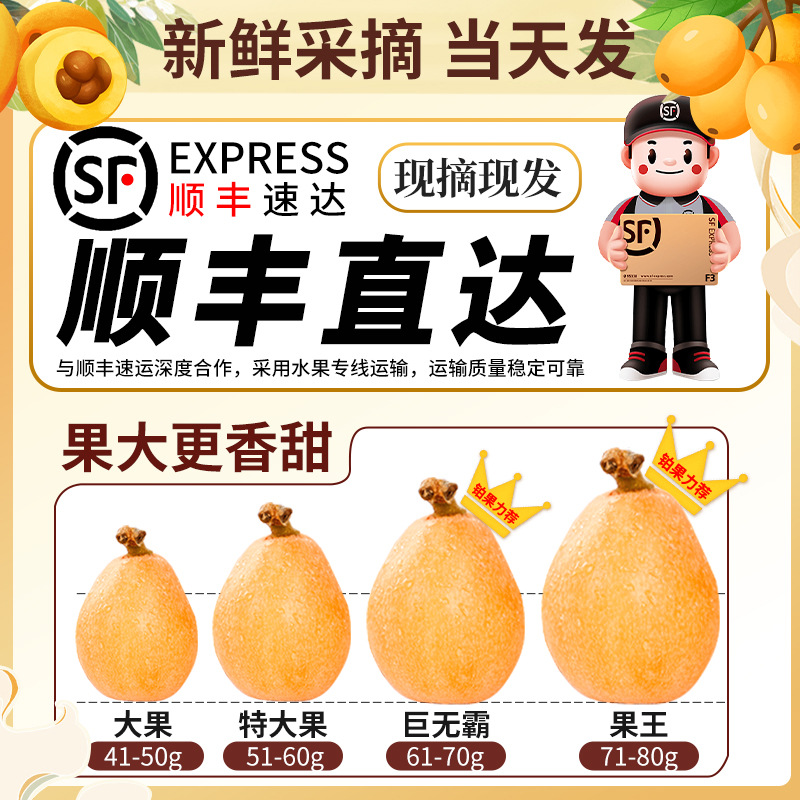 Sf Express Gift Box 2.5kg Zhangzhou Yunxiao Loquat Fresh Fruit Seasonal Fresh Whole Box Sweet Freshly Picked