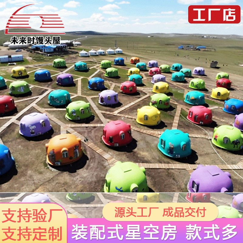 Outdoor Spherical Internet-Famous Starry Sky House Homestay Prefabricated Modular Assembly Bubble House Camping Homestay House