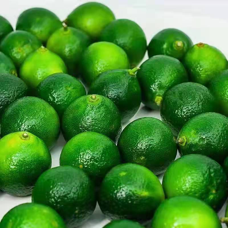 Hainan Fresh Small Green Orange Fruit, Fresh Seasonal Green Kumquat, Lemon Sour Green Orange Peel, Thin Juice, Milk Tea Shop Exclusive