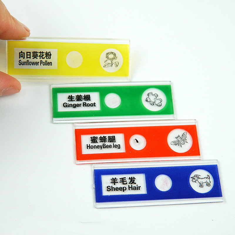 Microscope Kidsren's Plastic Slices Kidsren's Plastic Specimens Biological Experiment Slide Specimens 12 Pieces in a Box
