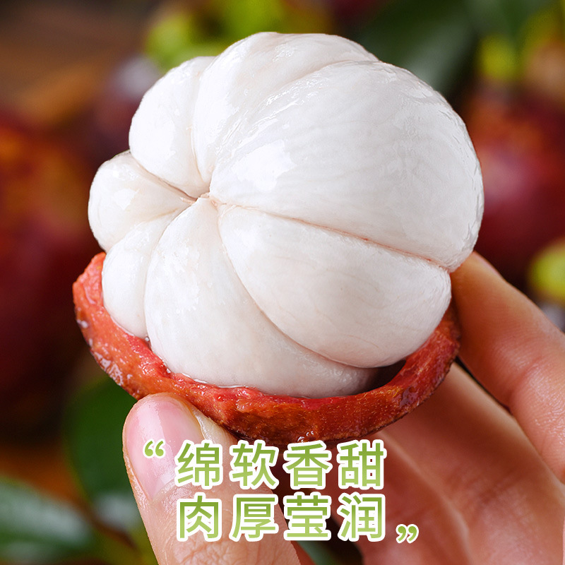 Fresh Thai Mangosteen Large Fruit Whole Box Seasonal Sf Express Free Shipping Seasonal Large Fruit Oil Mangosteen Raffia Bamboo 6A