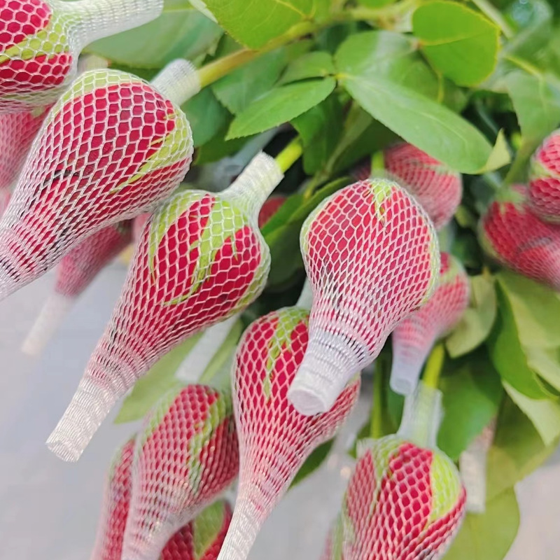 Rose Flowers Mother's Day Wholesale Yunnan Kunming Flowers Direct Batch of Real Flowers Flowers Together to Set up a Stall