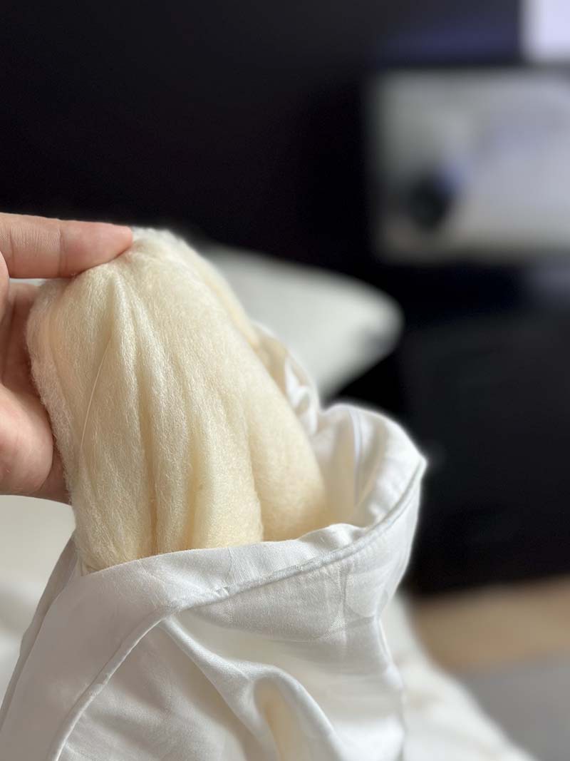 High-end 60 cotton jacquard 51% Li Guanqi antibacterial soybean quilt spring and autumn quilt winter quilt core soft pure cotton quilt