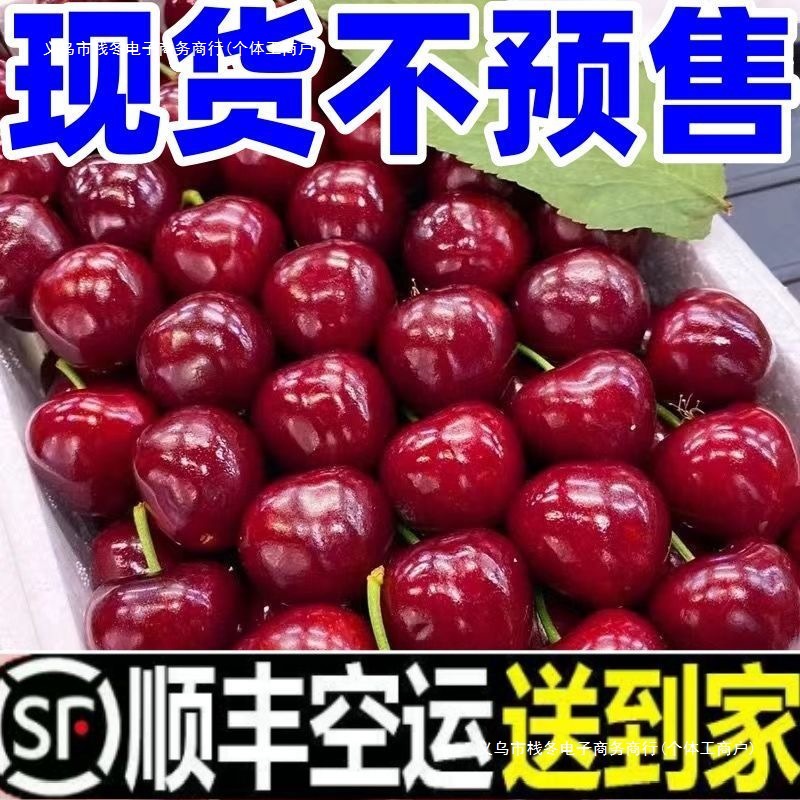 Cherry Special Large-Sized Cherry with Juicy Flesh Imported Cherry Fresh Fruit Wholesale Price