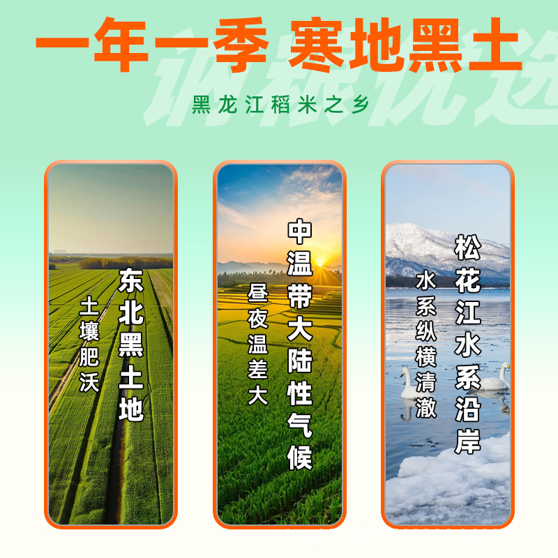 Northeast Rice 2.50kg Vacuum Packed New Rice Heilongjiang Pearl Rice One Year Home Commercial Free Shipping