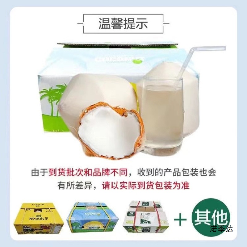 Thai Coconut Green 9 Large Fruit Perfume Fresh Coconut Wholesale Seasonal Fruits for Pregnant Women