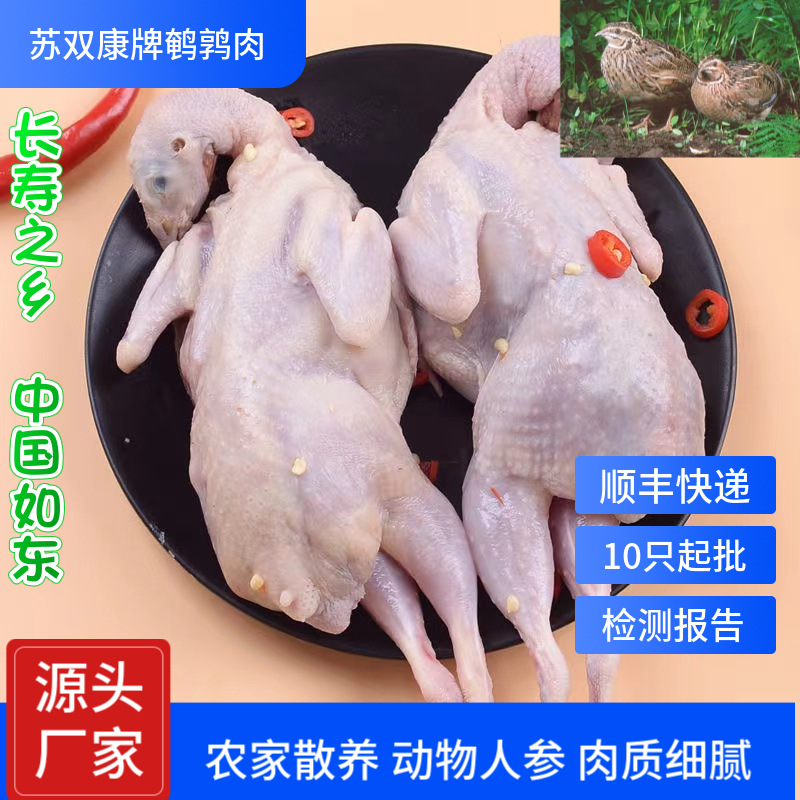 Su Shuangkang ® Chilled Extra Large White-Striped Quail Frozen Meat, Live Killing Quail, Bloodletting, Quick-Frozen Female Quail Meat