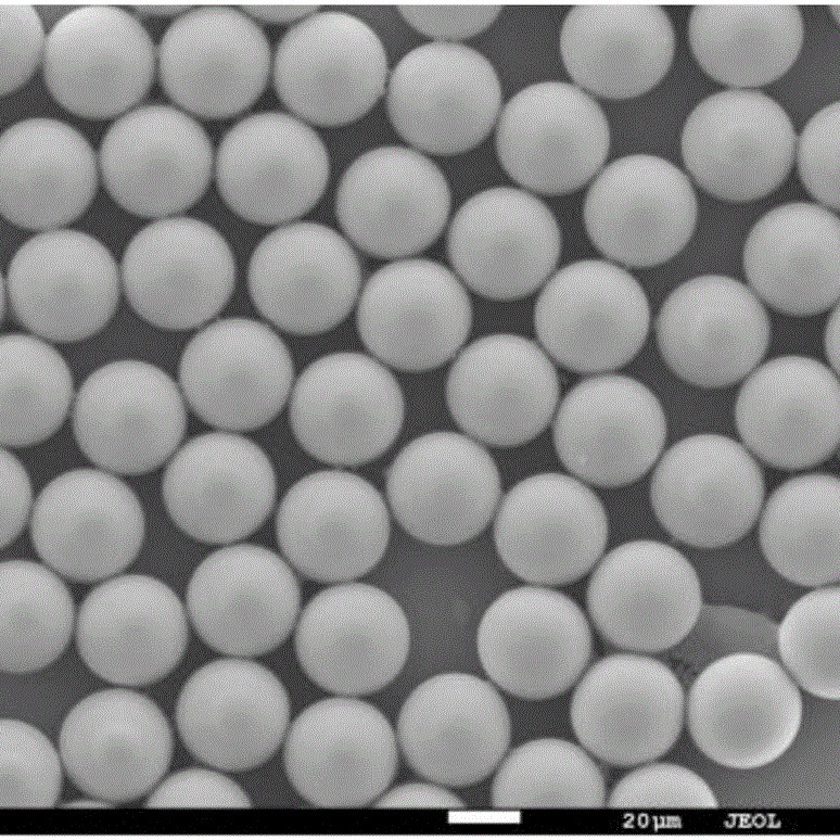 Spherical Silicon Oxide Powder 300Nm to 100μm Complete Specifications Sio2 High Purity Spherical Silicon Powder