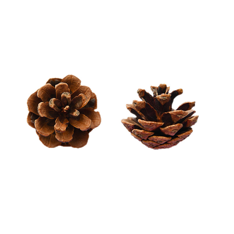 Hanging Line Pinecone North Local Pinecone Pinecone Pinecone 3-7cm Pastoral Style Decoration Ornamental Dried Original Color Pinecone Pinecone