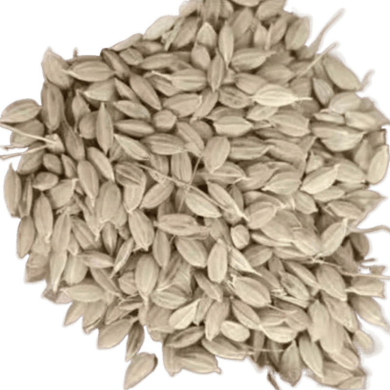 Rice Feed for Chickens, Northeastern Round Grain Cheap Rice, Shelled Rice, Chicken Feed